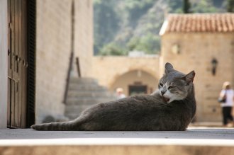 кипр отели отзывы