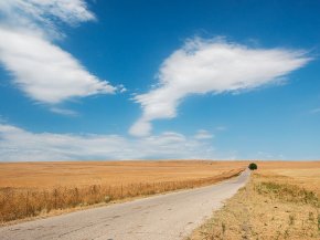 отдых в грузии отзывы туристов 2015