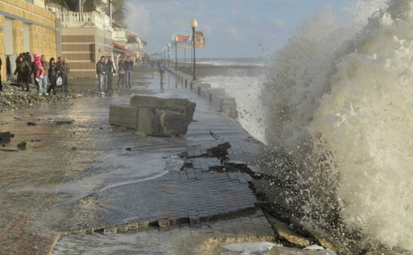 Сочи Отдых Отзывы Форум