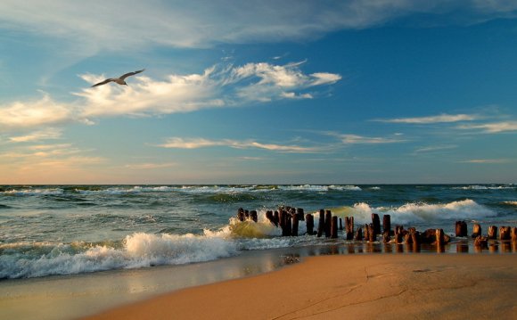 Калининград Отдых на Море Летом Отзывы